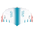 Starboard Air Team UltraX Canopy & Ho'okipa Airframe 4.5