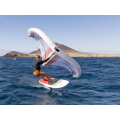 Starboard Freewing X-15 UltraX Canopy & Ho'okipa 5.5